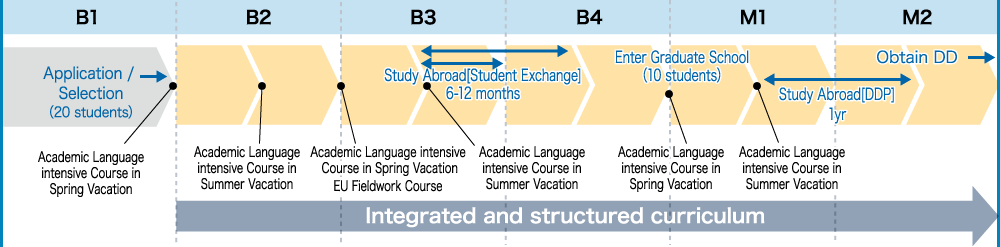 Outline of KUPES five-year programme