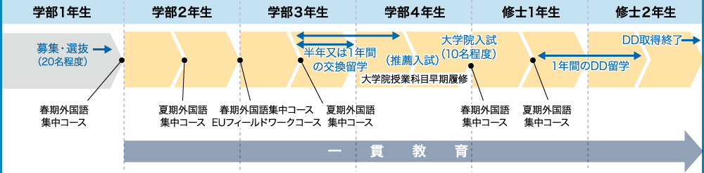 プログラム概要